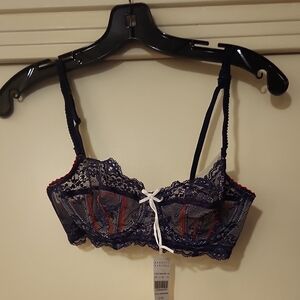 Heide Klum Barney's of new york Navy and Red Lace Bra